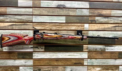 SAVAGE ARMS 25 .223 REM