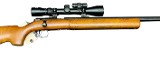 BSA Century .22 LR - 1 of 3