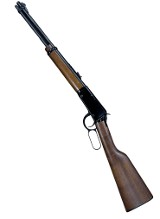 HENRY H001 .22 LR - 1 of 2