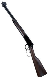 HENRY H001 .22 LR - 1 of 2