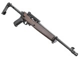 RUGER 10/22 .22 LR - 1 of 1