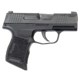 SIG SAUER P365 9MM LUGER (9X19 PARA) - 2 of 3
