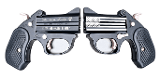 BOND ARMS FIRST LADY - 1 of 1