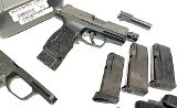 SIG SAUER P365 9MM LUGER (9x19 PARA)