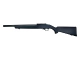 RUGER 10/22 .22 LR - 1 of 3