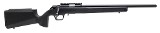 SPRINGFIELD ARMORY 2020 RIMFIRE TARGET .22 LR
