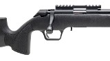 SPRINGFIELD ARMORY 2020 RIMFIRE TARGET .22 LR - 2 of 3