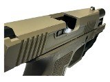 PALMETTO STATE ARMORY DAGGER COMPACT 9MM LUGER (9x19 PARA) - 3 of 3