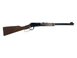 HENRY MONUMENT VALLEY EDITION (H001TMV) .22 LR