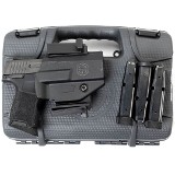 SIG SAUER P365 9MM LUGER (9X19 PARA) - 3 of 3