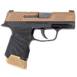 SIG SAUER P365 9MM LUGER (9X19 PARA) - 2 of 3