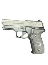 SIG SAUER P229 9MM LUGER (9x19 PARA) - 1 of 1