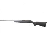 SAVAGE ARMS A17 .17 HMR - 1 of 3