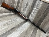SEARS & ROEBUCK SINGLE SHOT 12 GA - 3 of 3
