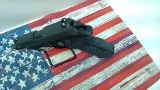 SIG SAUER P226 9MM LUGER (9x19 PARA) - 3 of 3