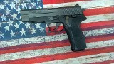SIG SAUER P226 9MM LUGER (9x19 PARA) - 2 of 3