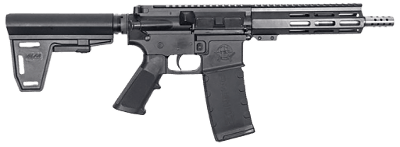 GREAT LAKES FIREARMS AR-15 .223 WYLDE