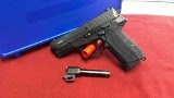 SIG SAUER SP2022 SIG PRO 40 SW & 357 SIG .357 SIG
