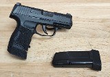 SIG SAUER P365 9MM LUGER (9x19 PARA) - 2 of 3
