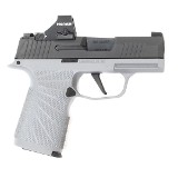 SIG SAUER P365 X 9MM LUGER (9X19 PARA) - 2 of 3