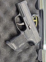 SIG SAUER P365-380 .380 ACP - 1 of 3