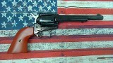 HERITAGE MFG. ROUGH RIDER .22 CAL
