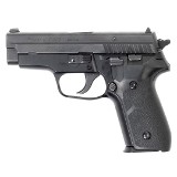 SIG SAUER P229 9MM LUGER (9X19 PARA)