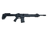 SILVER EAGLE AR 12 12 GA - 2 of 3