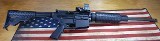 DPMS LR-308 .308 WIN
