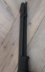 CONNECTICUT VALLEY CLASSICS STAG HORN .50 CALIBER