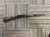 REMINGTON Nylon 66 .22 LR
