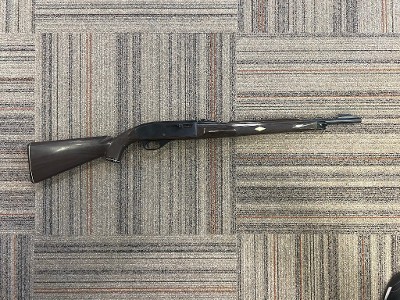 REMINGTON Nylon 66 .22 LR