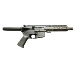 PALMETTO STATE ARMORY PA-15 5.56X45MM NATO - 1 of 3
