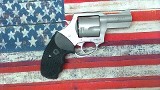 CHARTER ARMS PITBULL .45 ACP - 2 of 3
