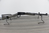 HENRY GARDEN GUN .22 LR SHOTSHELL