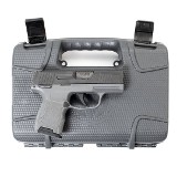 SIG SAUER P365 9MM LUGER (9X19 PARA) - 3 of 3