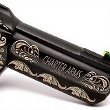 CHARTER ARMS Professional II - 357 MAG - Scroll Engraving - ONLY ONE .357 MAG - 3 of 3