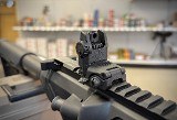 DIAMONDBACK DB10 .308 WIN - 3 of 3