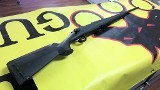 SAVAGE ARMS Axis .223 REM