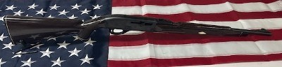 REMINGTON Nylon 66 .22 LR