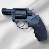 CHARTER ARMS 13820 UNDERCOVER .38 SC - 2 of 2