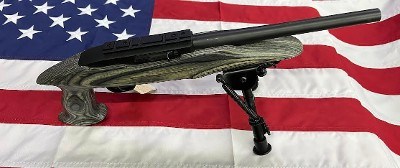 RUGER 10/22 charger .22 LR