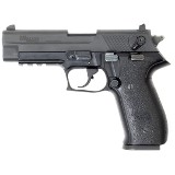 SIG SAUER MOSQUITO .22 LR - 1 of 3