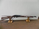 REMINGTON NYLON 76 .22 LR - 1 of 3