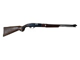 WINCHESTER 290 .22 S/L/LR - 1 of 3