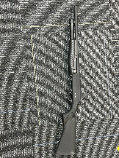 ESCORT slugger 12 GA