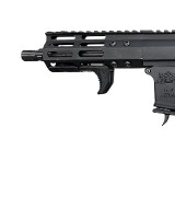 PALMETTO STATE ARMORY PA-15 9MM LUGER (9x19 PARA) - 2 of 3