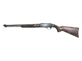 WINCHESTER 290 .22 S/L/LR - 1 of 3