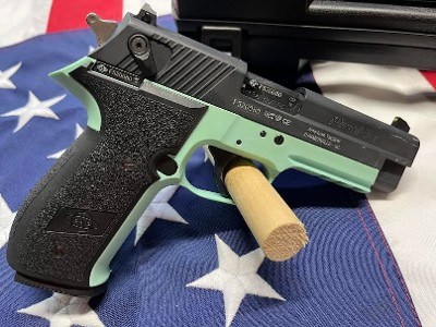 AMERICAN TACTICAL IMPORTS FireFly .22 LR