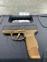 SIG SAUER P365 9MM LUGER (9x19 PARA) - 3 of 3